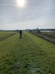 Great Stonar works in the distance - used to be a medieval port, now a site for gravel extraction!